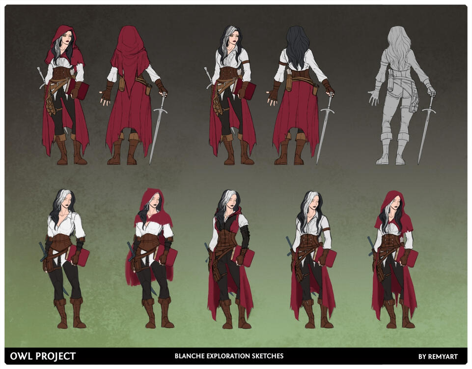 Design variations - Owl Project